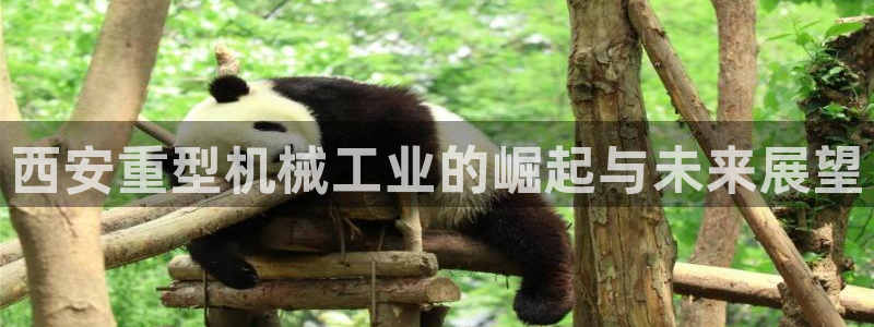 富联娱乐客户端怎么下载