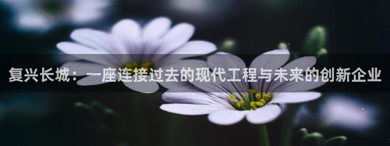 富联娱乐招商主管是谁