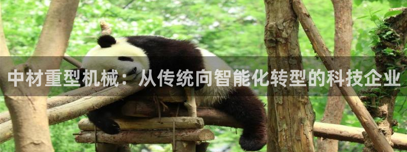 富联娱乐主管去天神779O3