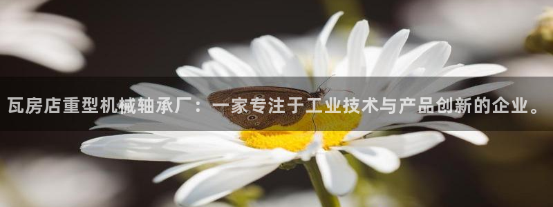 富联娱乐女团是谁的粉丝