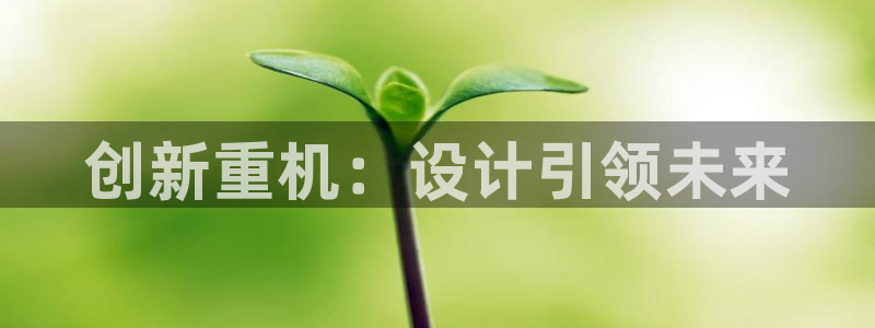 富联娱乐主管右原判官333OO