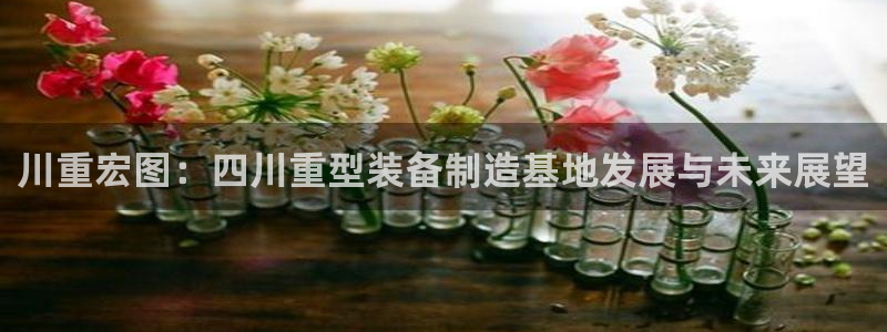 富联娱乐公司简介资料