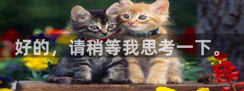 富联娱乐主管是谁啊图片