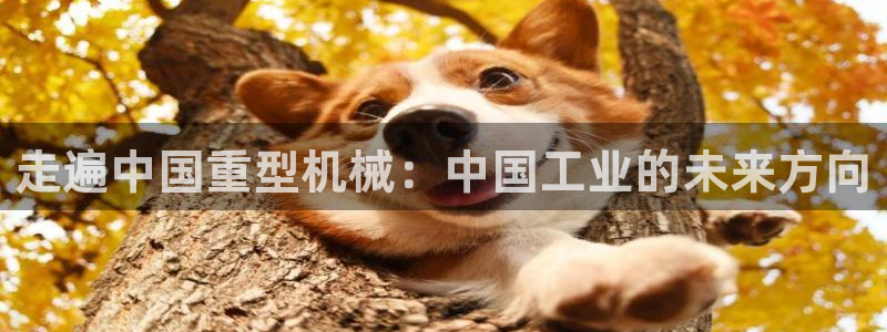 富联娱乐首页在哪