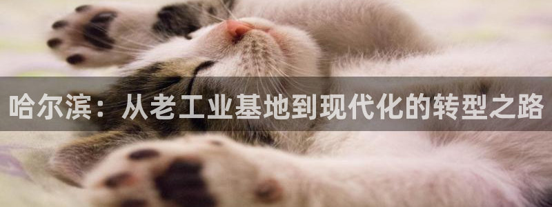 富联娱乐开户条件