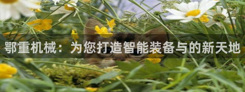 富联娱乐万67五壹叁八