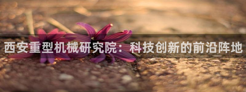 富联娱乐 找86555