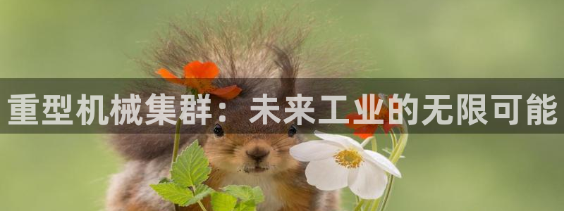 富联娱乐平台特点