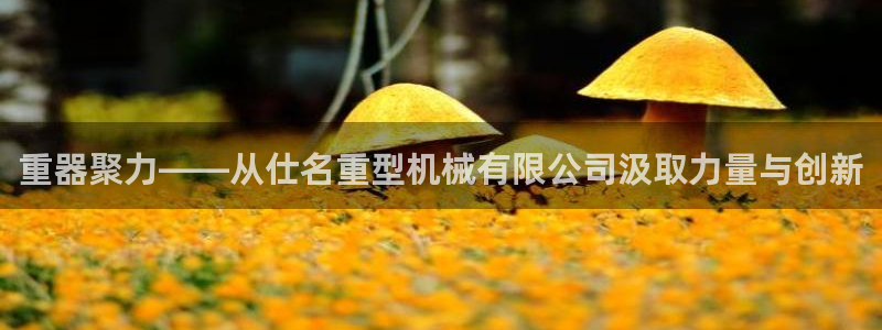 富联娱乐发展历程图