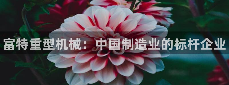 富联娱乐主管可判官333OO