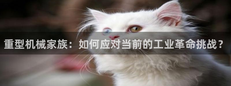 富联娱乐代理电话
